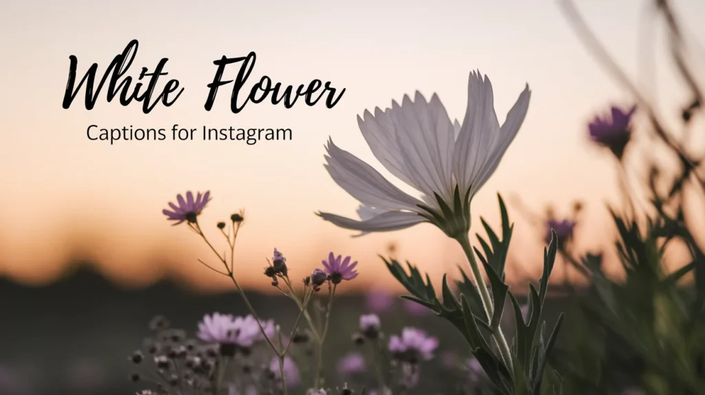 White Flower Captions for Instagram